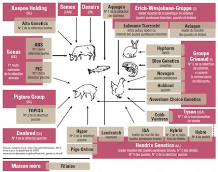 agropoly_selection_animale-766bc